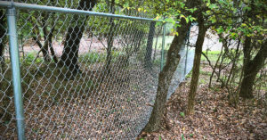 Comal Fence 6' Chainlink Fence