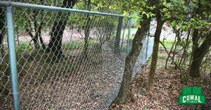 Comal Fence 6' Chainlink Fence