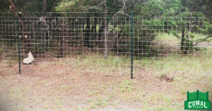 San Antonio Fence Company Ranch Fence With Barbed Wire