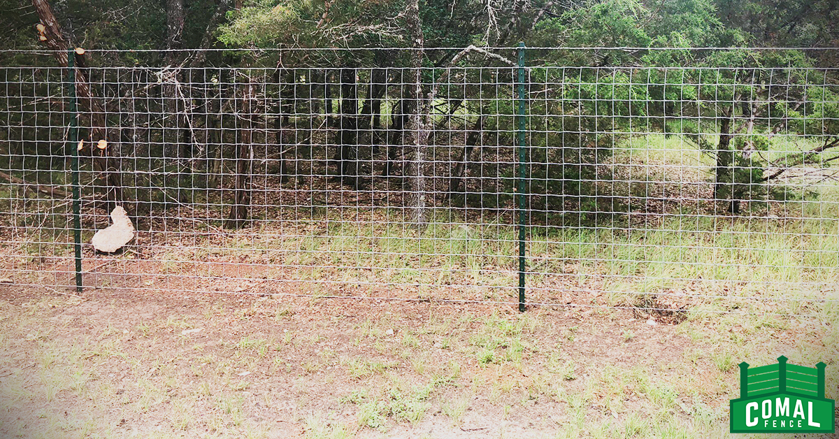 San Antonio Fence Company Ranch Fence With Barbed Wire