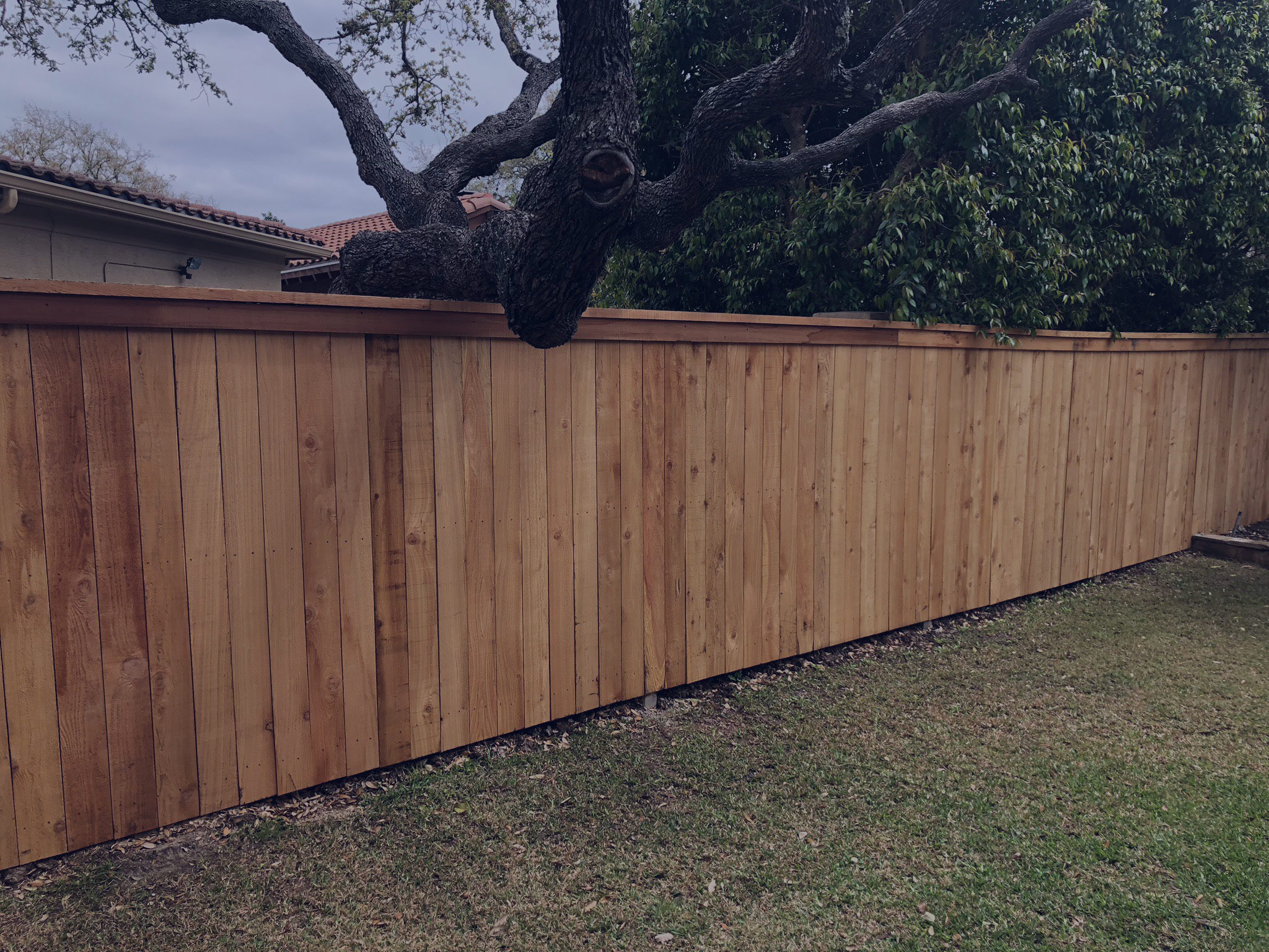 Privacy Wood Fence With Cap Trim Comal Fence